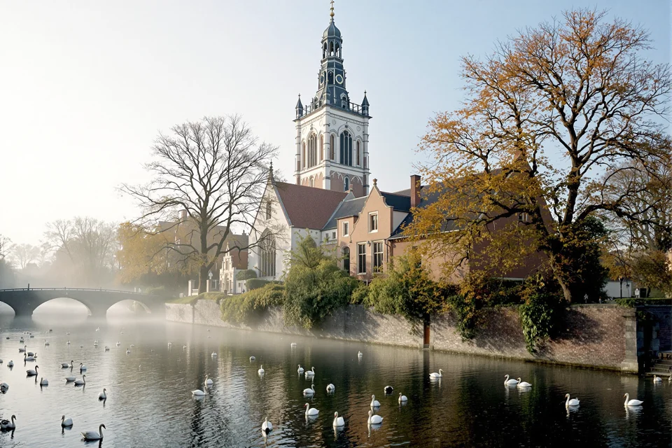 Swans gliding on a misty Belgian canal below a Gothic bell tower and an old stone bridge