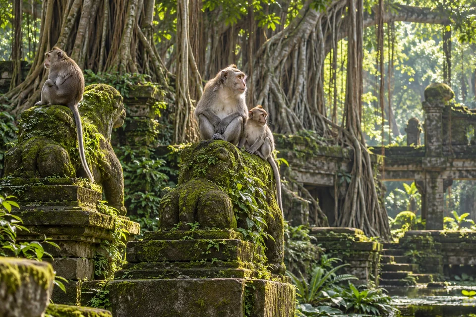 Macaques on mossy temple statues among banyan roots; visualisation