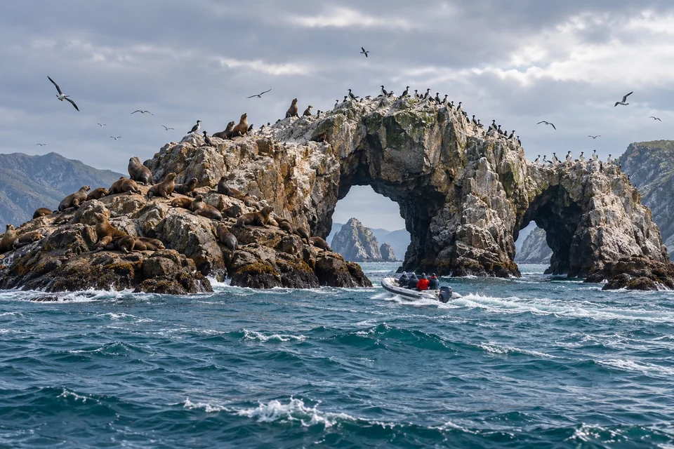 Rocky sea arches with sea lions and a passing speedboat; visualisation