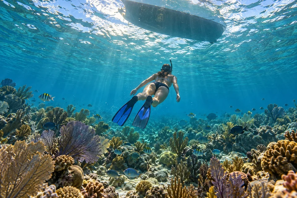 Snorkeller over a colourful Caribbean coral reef; visualisation