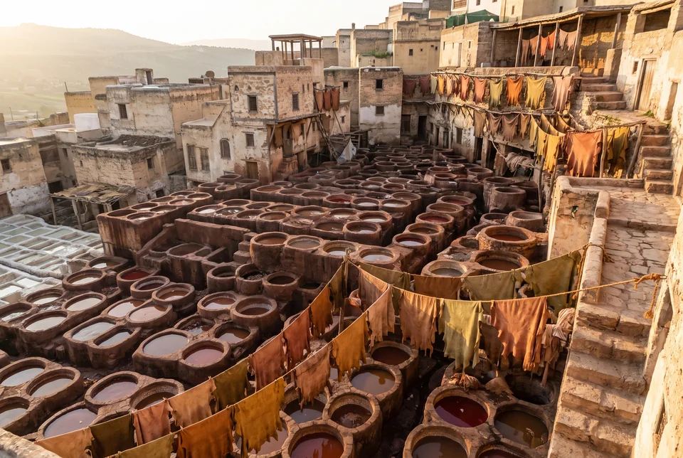 Stone dye vats and drying hides in the tanneries of Fez, visualization