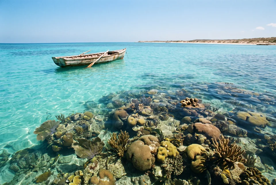 Wooden boat on the clear Caribbean shallows above a coral reef, Rosario Islands, visualization