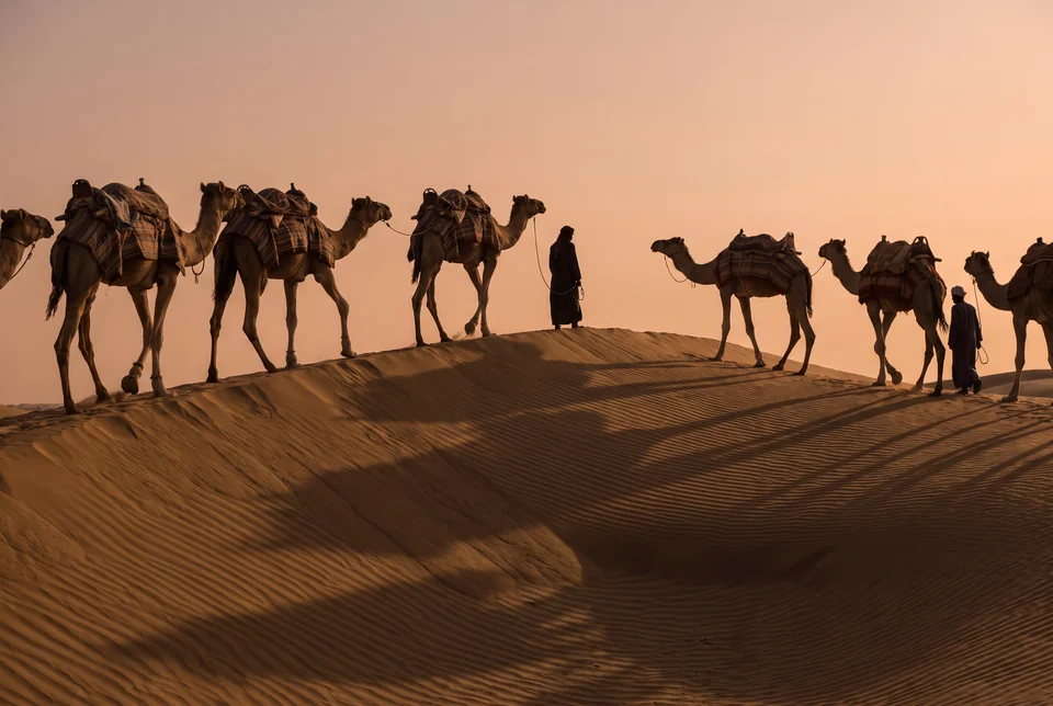 Camel caravan on a Sahara dune at sunset, visualization