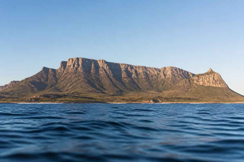 Güney Afrika'dan bir manzara