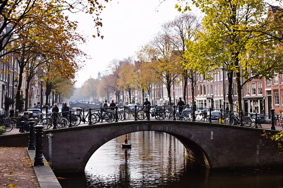 Hollanda'dan bir manzara