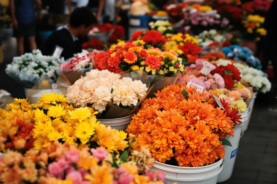 Buckets of cut flowers on a flower market stall in the Netherlands