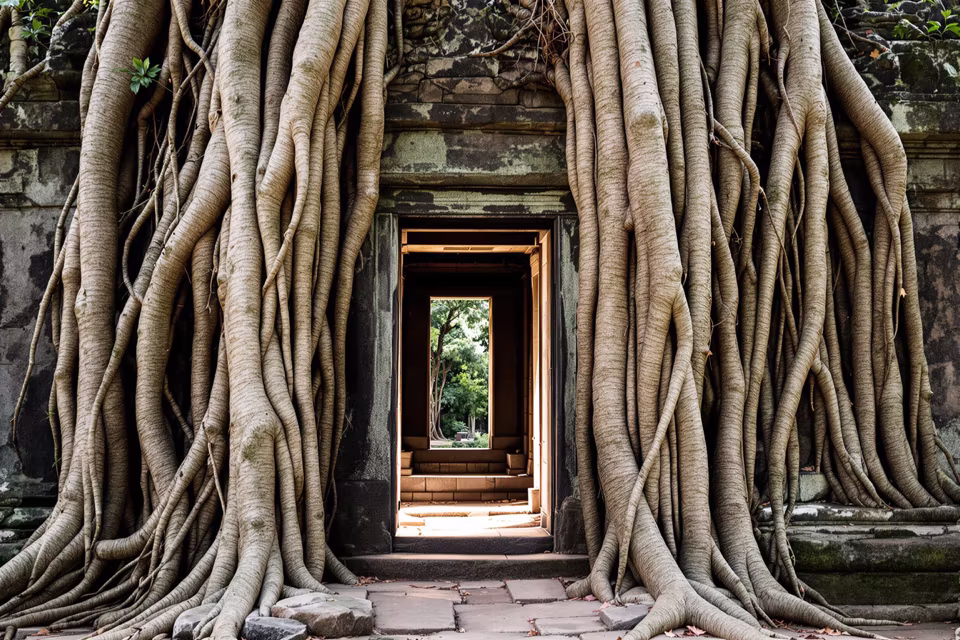 Ta Prohm, ağaç kökleri arasında