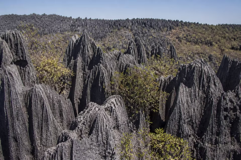 Madagaskar'dan bir manzara
