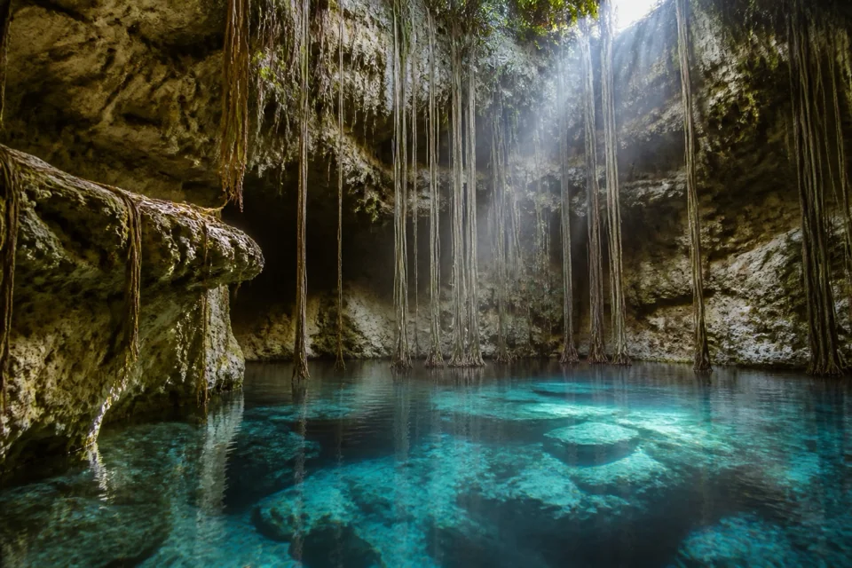 Clear water glinting in a limestone sinkhole under light filtered by hanging roots in Mexico