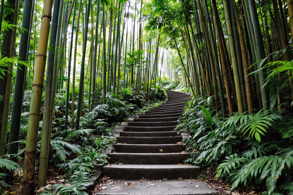 Bali'den bir manzara