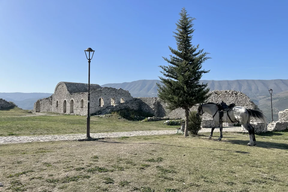 Stone ruins, a fir tree and distant mountains inside Berat Castle