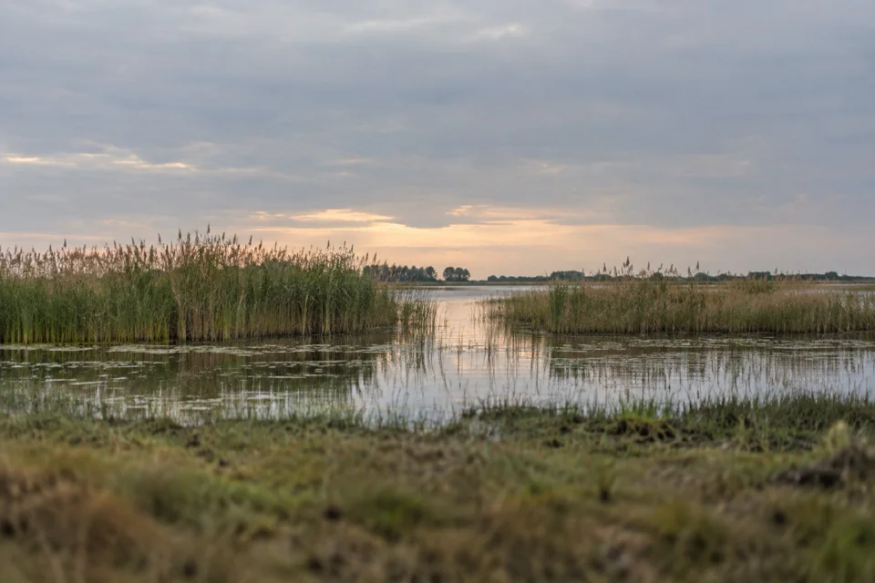 Reed beds and peat lakes around Giethoorn