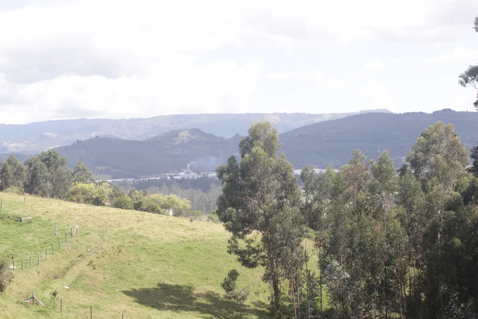 Green meadows, eucalyptus trees and mountains around Guatavita