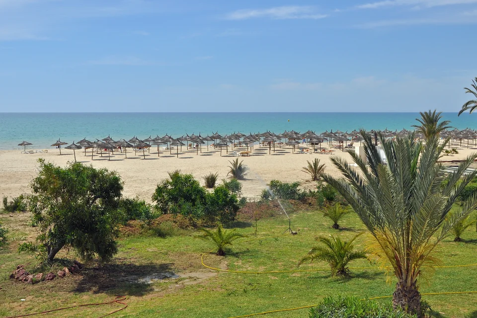 Palms, a green shore and a wide beach with straw umbrellas in Hammamet