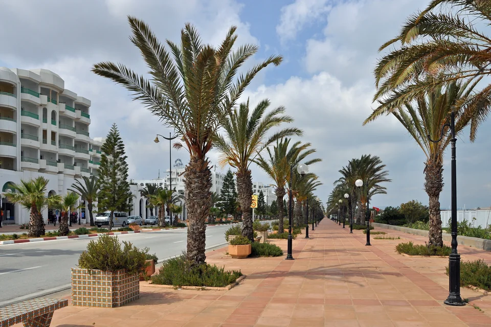 A seafront promenade lined with palm trees in Hammamet