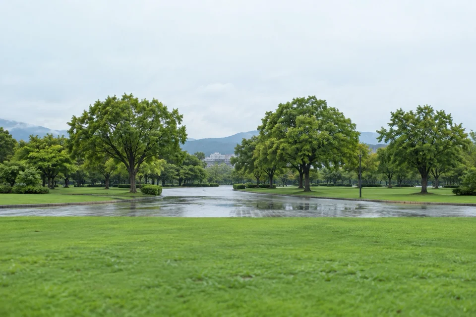 Hiroşima'da yağmur sonrası sakin park