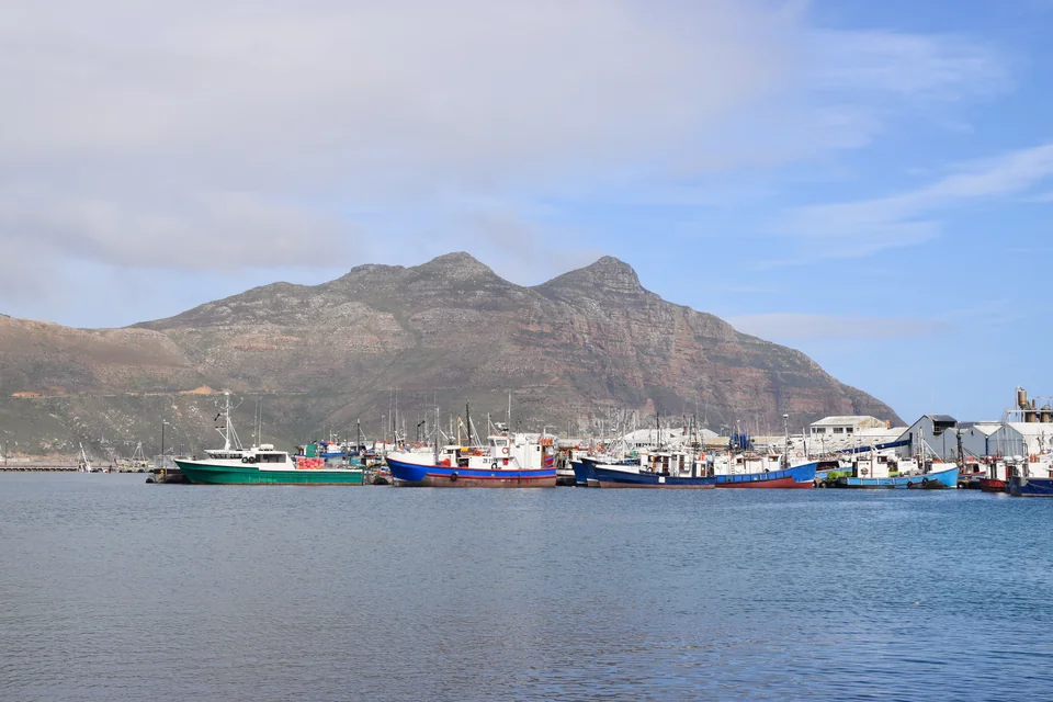 Colourful fishing boats in Hout Bay harbour with the mountain behind