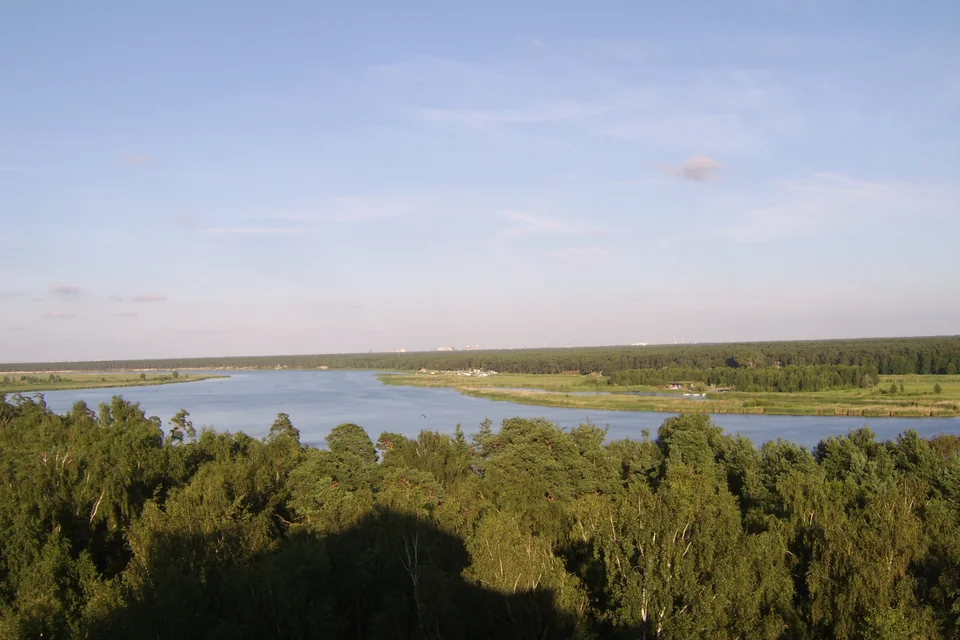 The Lielupe River winding between pine forests in Jūrmala, seen from above