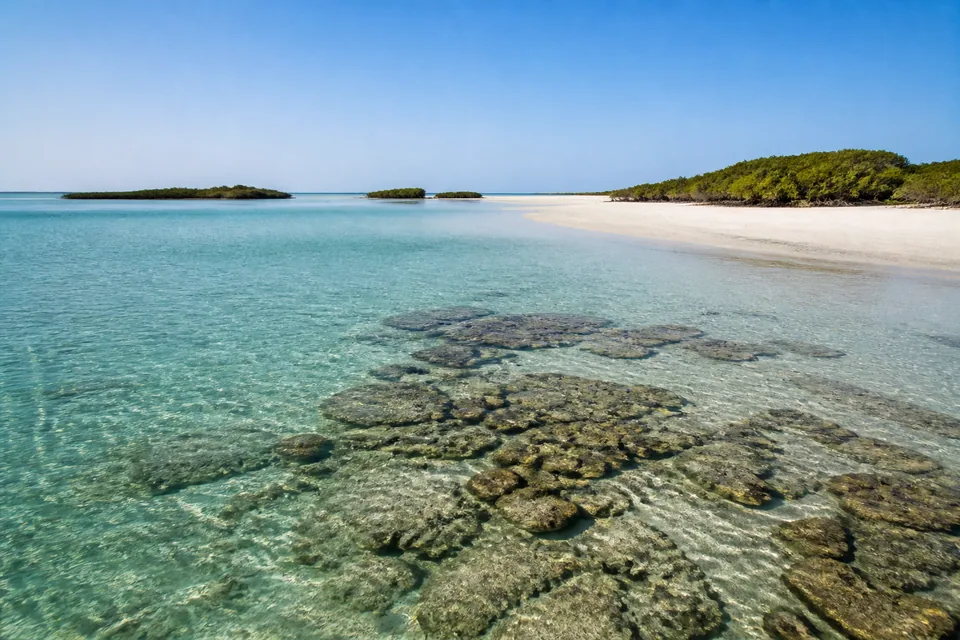 A turquoise shallow lagoon and white sand beach on the Saudi Red Sea coast