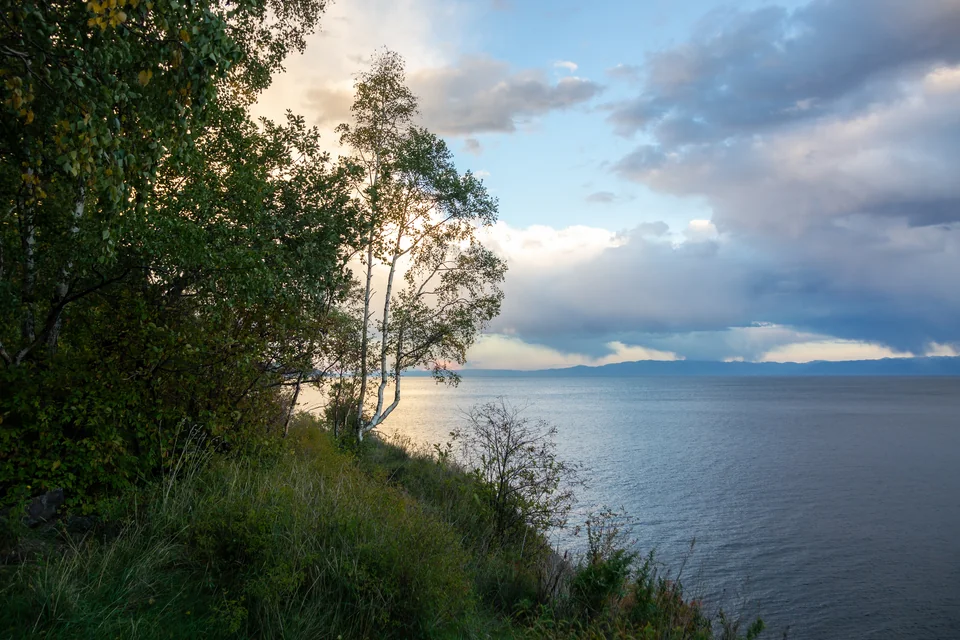 Lake Baikal and clouds seen from a wooded slope at Listvyanka