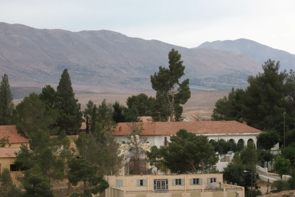 Tiled-roof buildings, pines and the Atlas Mountains behind Midelt