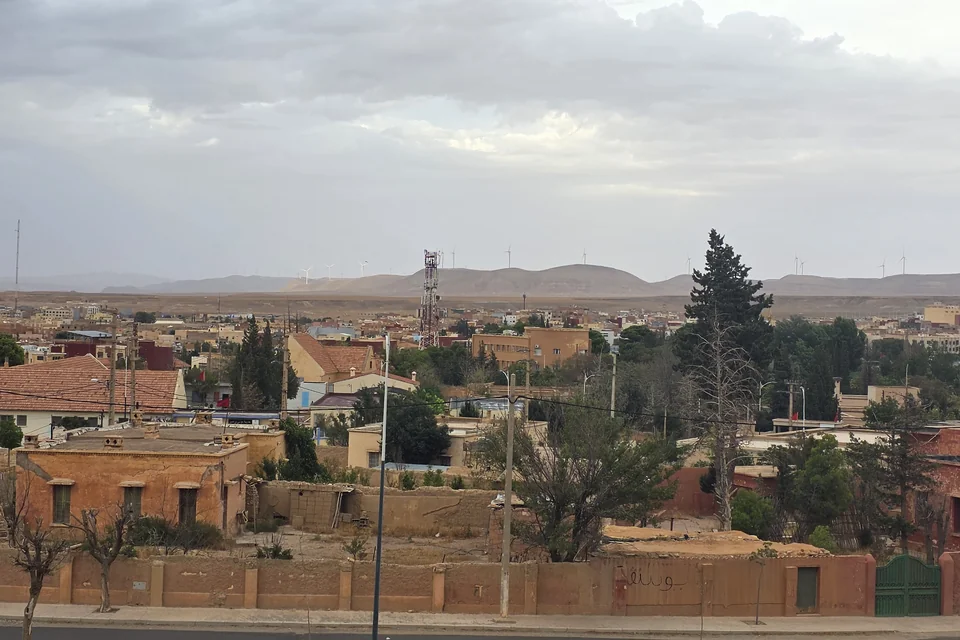Earth-toned houses, a pine and mountains on the horizon in Midelt