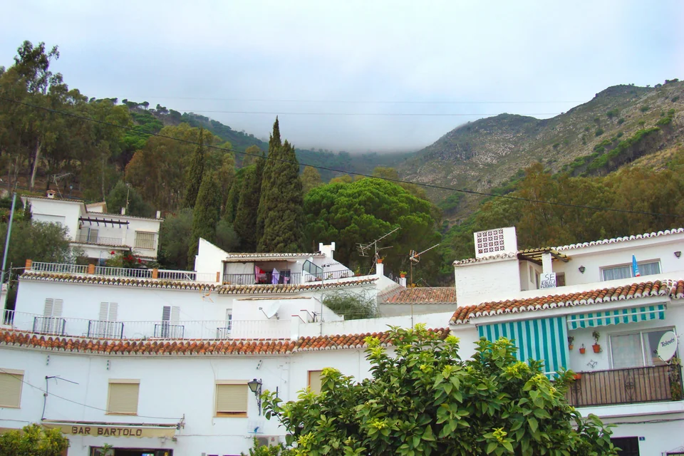 White houses, cypresses and forested mountains behind Mijas