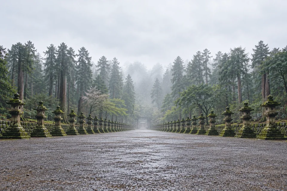 A path of stone lanterns through a cedar forest in Nara