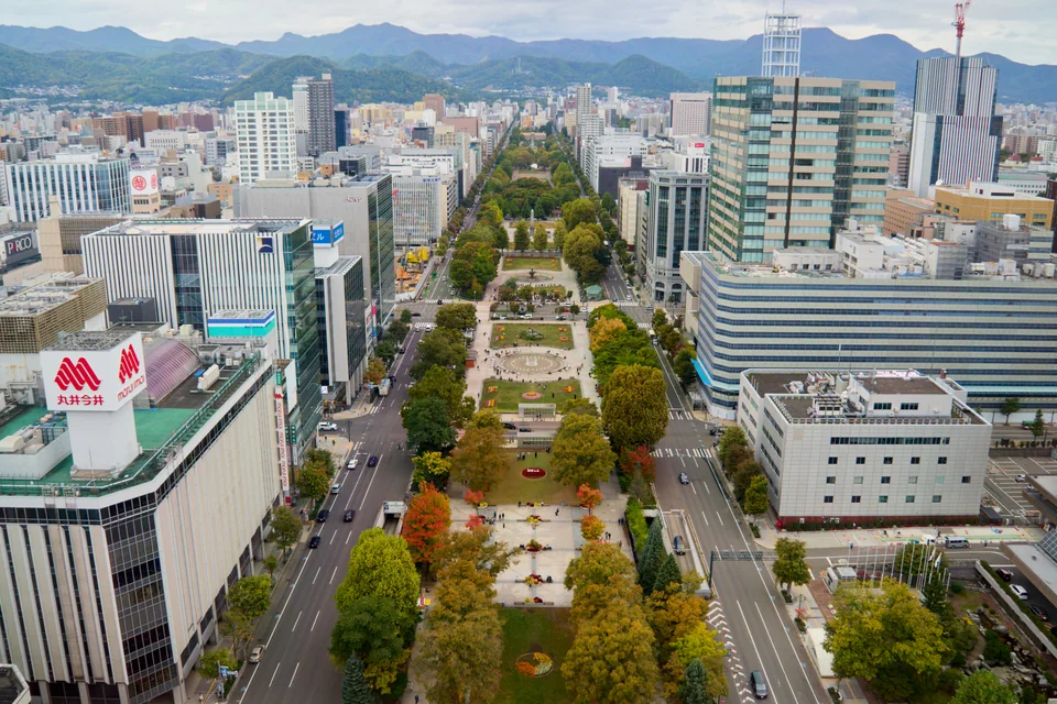 Tree-lined Odori Park and central Sapporo seen from above with mountains behind