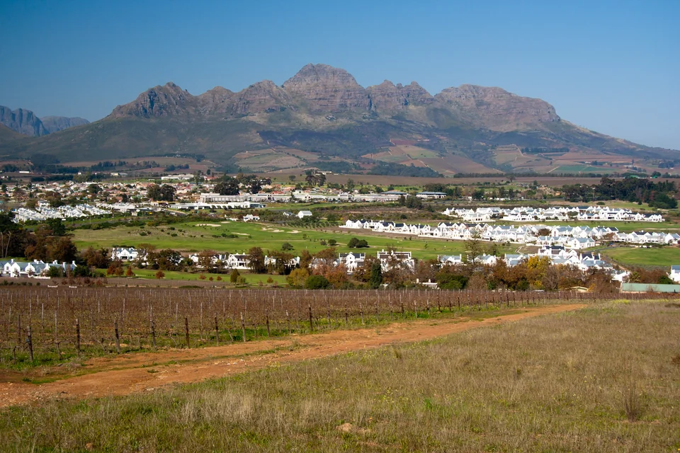 Vineyards, white houses and a rugged mountain range behind Stellenbosch