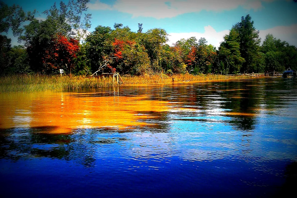 A calm channel in the Tigre delta with trees reflected in the water