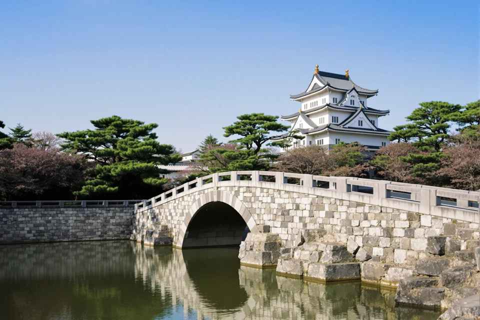 Stone arch bridge over a Tokyo moat, a white castle keep and blossoming cherry trees behind