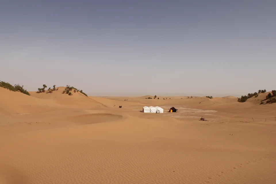 A desert camp among golden sand dunes near Zagora