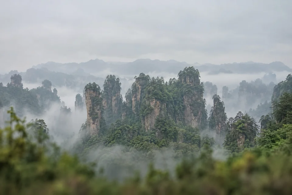 Zhangjiajie'de sis katmanları arasında kaya kuleleri