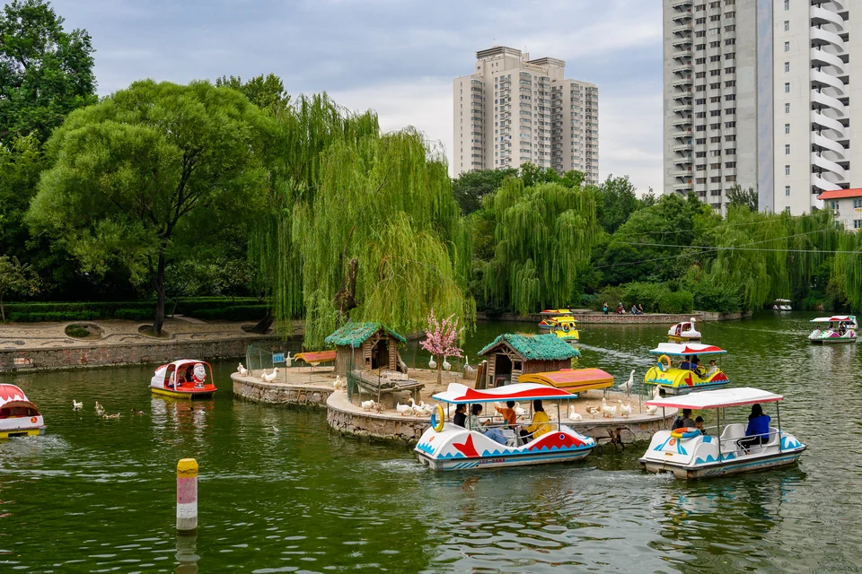 Willows and pedal boats on the lake in a public park in Zhengzhou