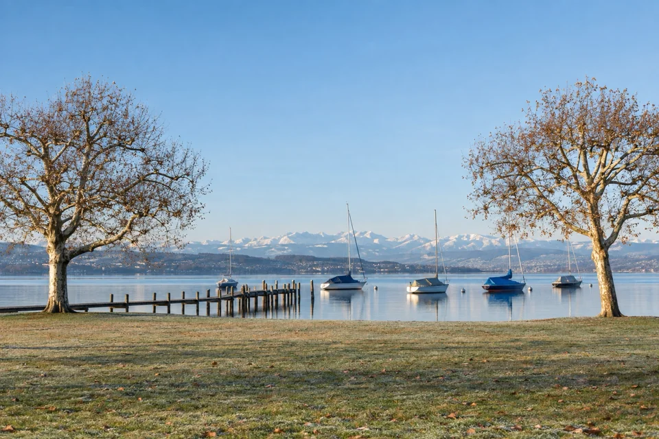 The shore of Lake Zurich with the Alps in the distance