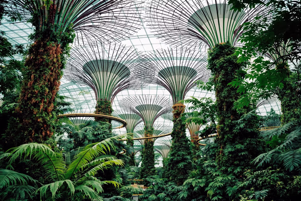 Singapur'dan bir manzara