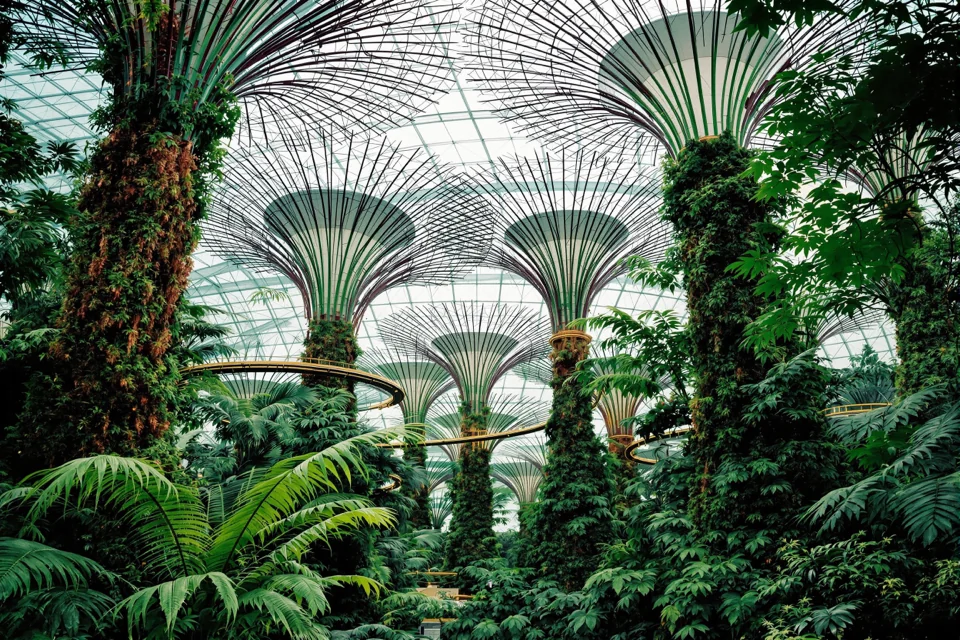 Giant steel tree structures surrounded by ferns in an indoor garden in Singapore