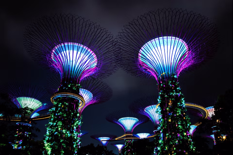 Gardens by the Bay süper ağaçları