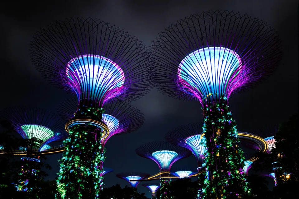 The Supertrees at Gardens by the Bay