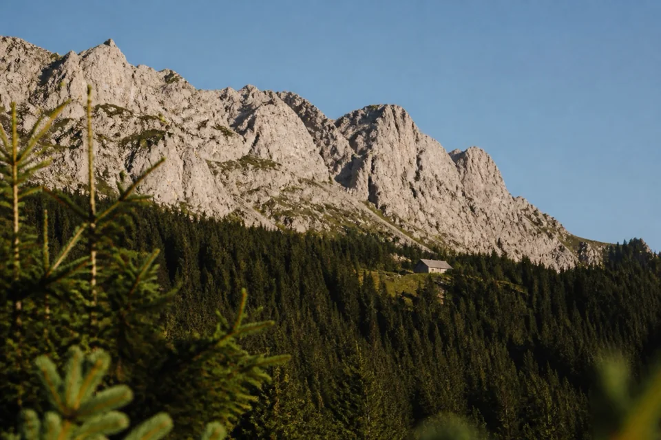 A limestone mountain ridge glowing in morning light above fir forest in Slovakia