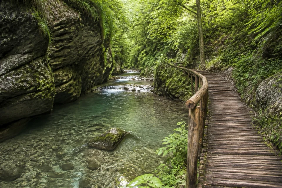 A wooden path following a clear stream among mossy rocks in Slovakia