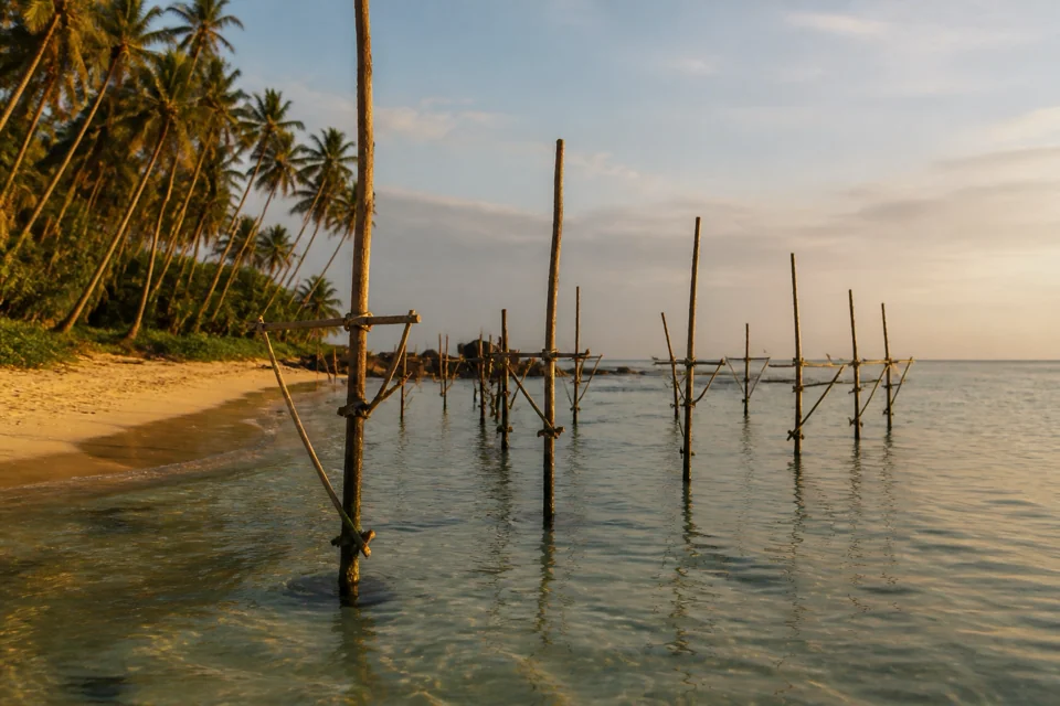 Wooden stilts reaching from the shore into the sea in the quiet evening sun in Sri Lanka