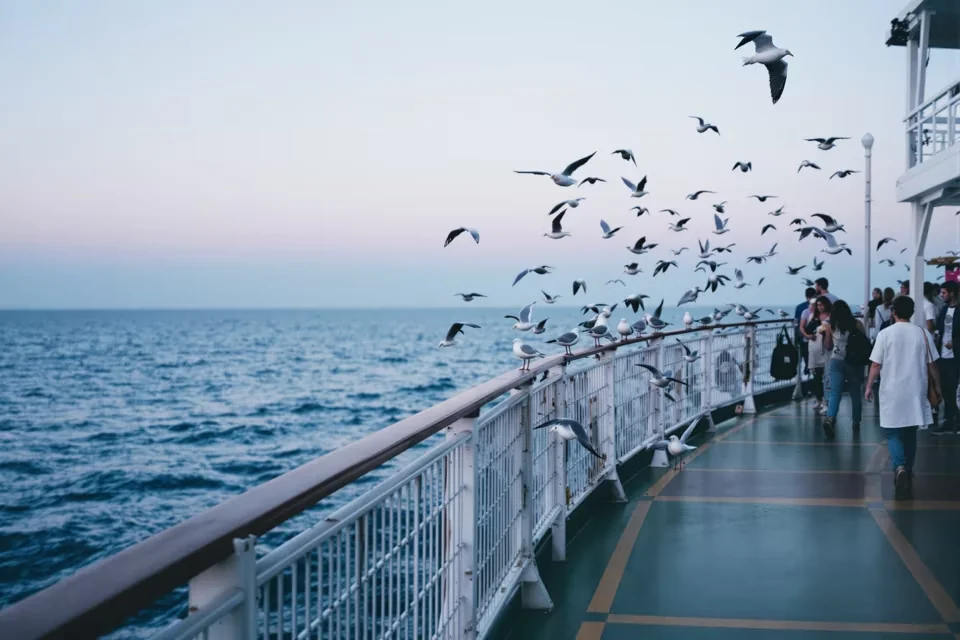 Seagulls settling on the rail and wheeling beside a ferry deck in Türkiye as passengers walk