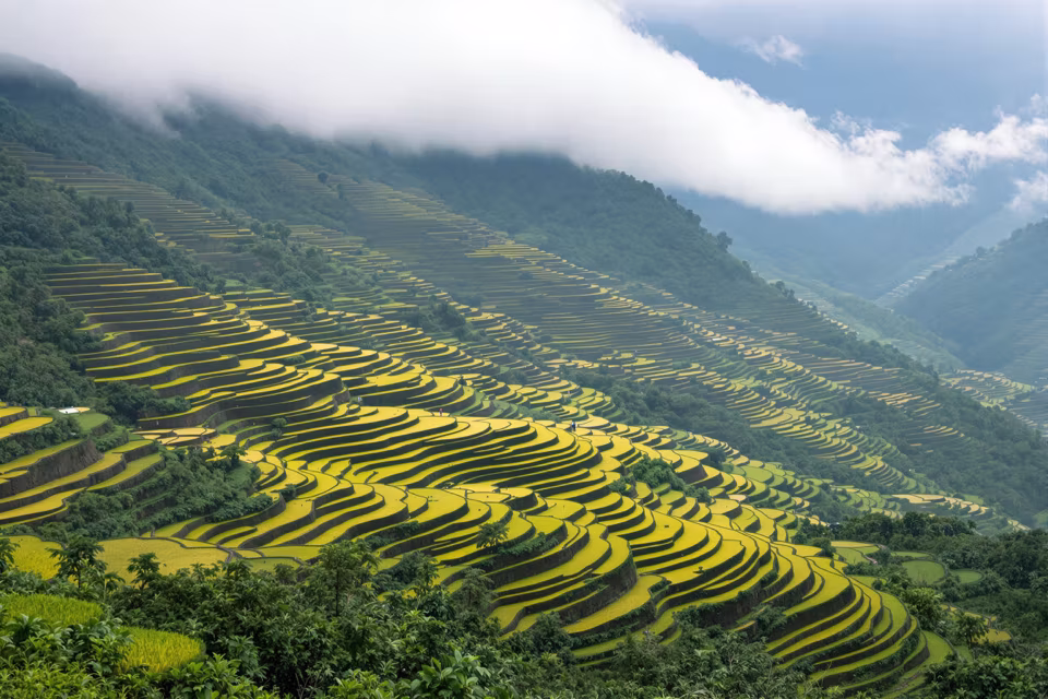 Vietnam'dan bir manzara