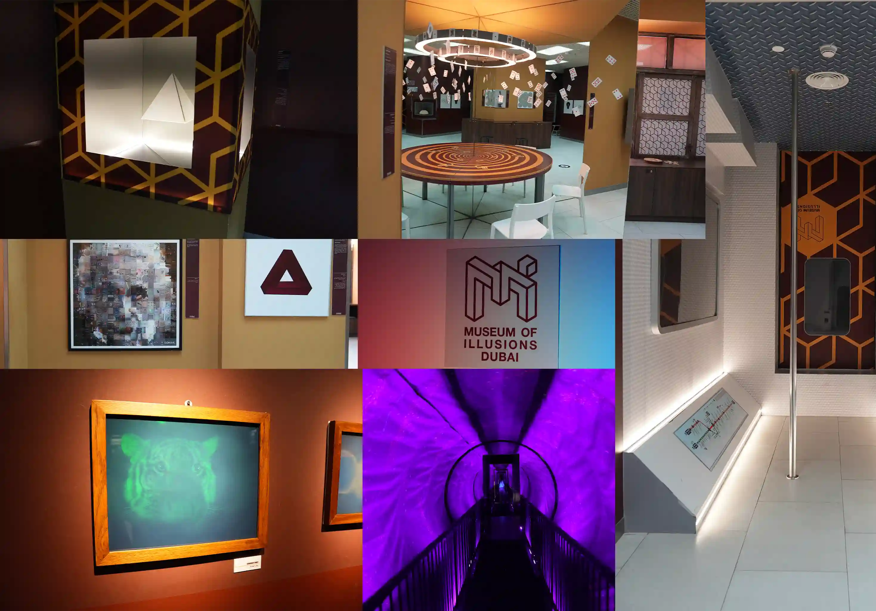 Museum of Illusions