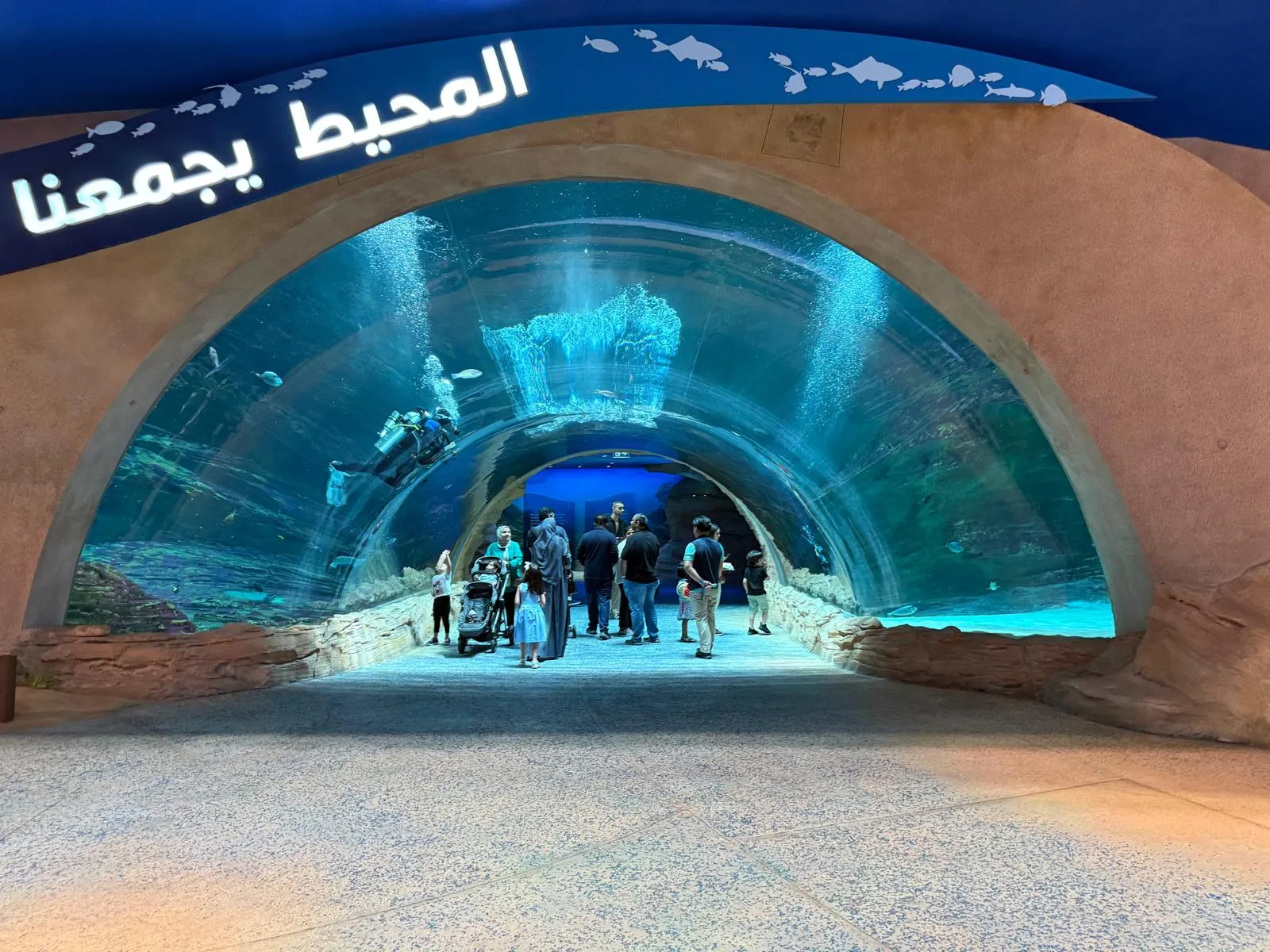 Yas Island Abu Dhabi Multi Park Pass