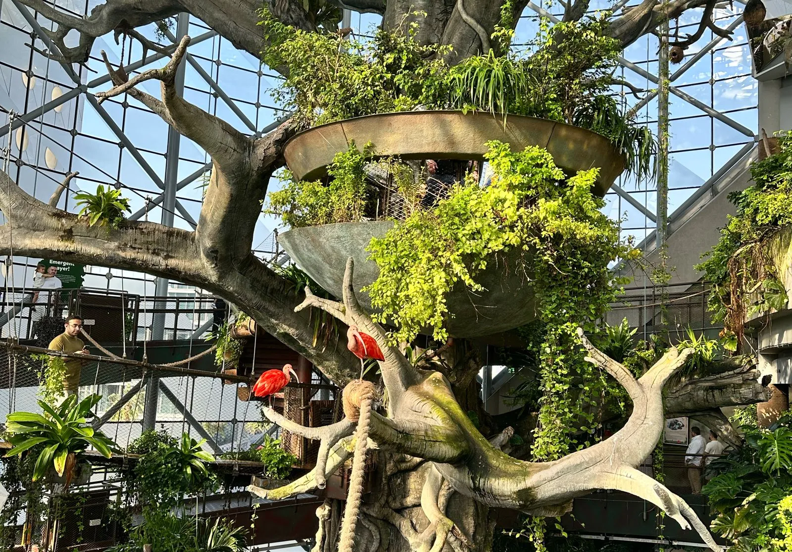 The Green Planet Zoo