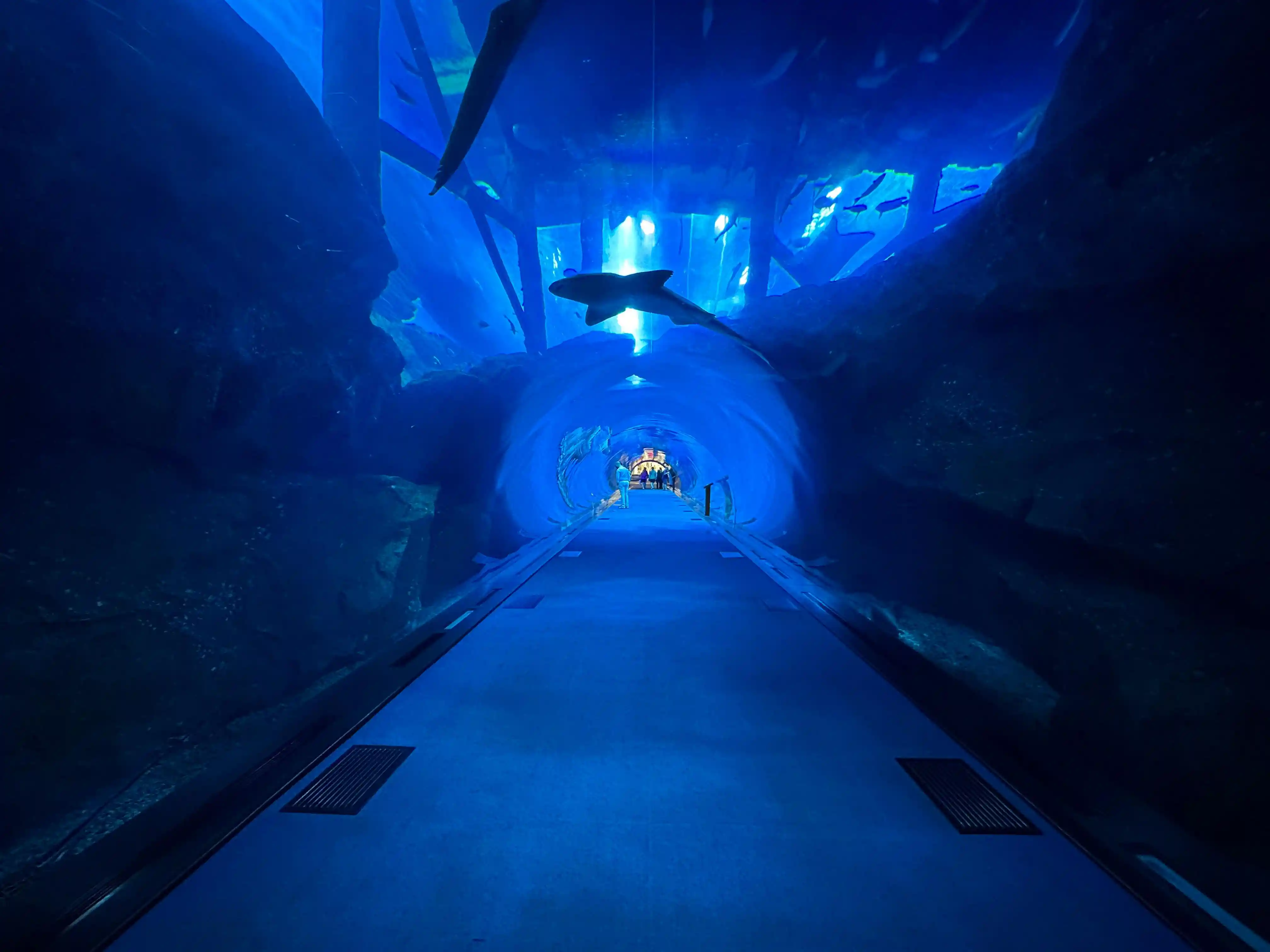 Dubai Aquarium & Underwater Zoo