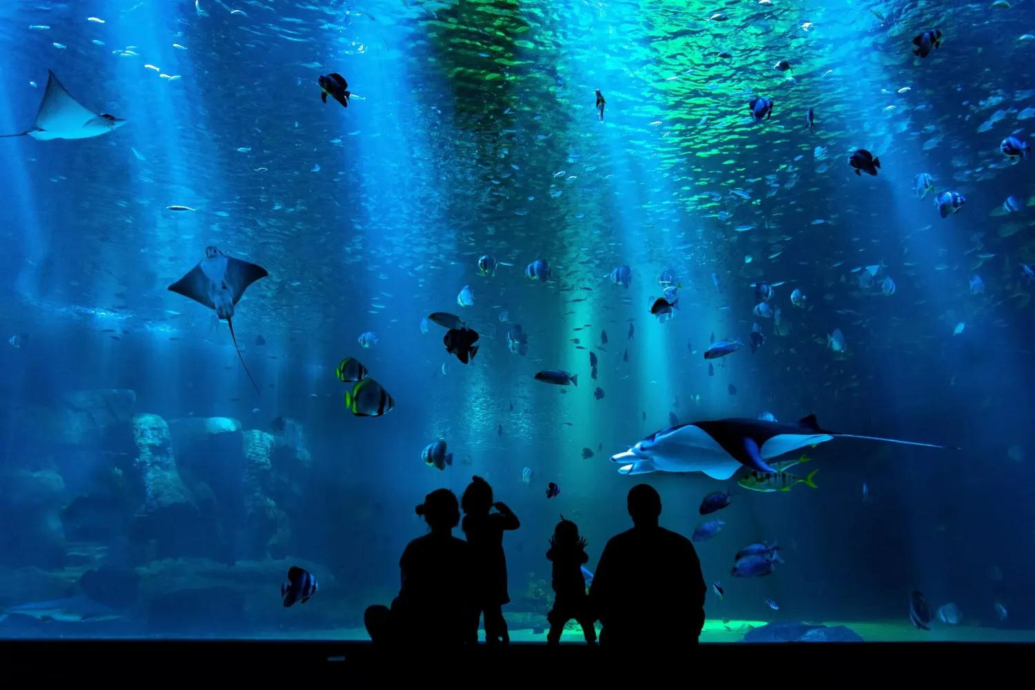 Abu Dhabi Iconic Places Tour
